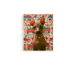Xolito Mágico Print